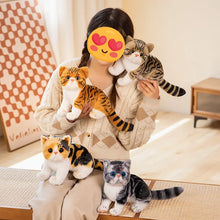 Load image into Gallery viewer, Realistic Calico Cat Plush Toy - Cute Sitting Kitten-Stuffed Animals-Calico Cat,Cat Memorial Gifts,Cats,Stuffed Animal-6