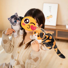 Load image into Gallery viewer, Realistic Calico Cat Plush Toy - Cute Sitting Kitten-Stuffed Animals-Calico Cat,Cat Memorial Gifts,Cats,Stuffed Animal-5