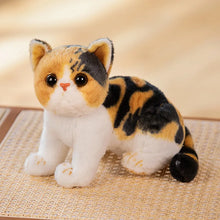 Load image into Gallery viewer, Realistic Calico Tabby Cat Plush - Cute flat-face Kitten-Three colors-26cm-1