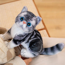 Load image into Gallery viewer, Realistic Exotic Shorthair Cat Plush - Gray and White Tabby Coat - Cute flat-face Kitten-23