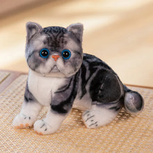 Load image into Gallery viewer, Realistic Exotic Shorthair Cat Plush - Gray and White Tabby Coat - Cute flat-face Kitten-Black stripe-26cm-1