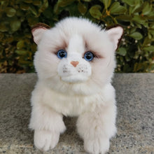 Load image into Gallery viewer, Realistic Ragdoll Cat Stuffed Animal Plush Toy - Adorable Round Face Ragdoll-2