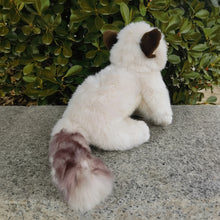 Load image into Gallery viewer, Realistic Ragdoll Cat Stuffed Animal Plush Toy - Adorable Round Face Ragdoll-3