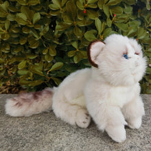 Load image into Gallery viewer, Realistic Ragdoll Cat Stuffed Animal Plush Toy - Adorable Round Face Ragdoll-5