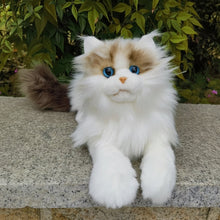 Load image into Gallery viewer, Realistic Ragdoll Cat Plush - Seal Point Bicolor Coat - Snuggly Kitten-3
