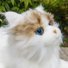 Load image into Gallery viewer, Realistic Ragdoll Cat Plush - Seal Point Bicolor Coat - Snuggly Kitten-8