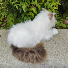 Load image into Gallery viewer, Realistic Ragdoll Cat Plush - Seal Point Bicolor Coat - Snuggly Kitten-6
