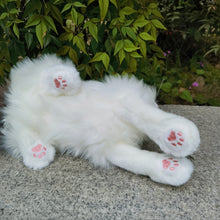 Load image into Gallery viewer, Realistic Ragdoll Cat Plush - Seal Point Bicolor Coat - Snuggly Kitten-10