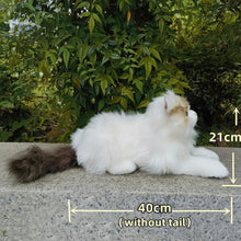 Load image into Gallery viewer, Realistic Ragdoll Cat Plush - Seal Point Bicolor Coat - Snuggly Kitten-40cm-China Mainland-11