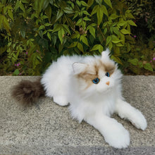 Load image into Gallery viewer, Realistic Ragdoll Cat Plush - Seal Point Bicolor Coat - Snuggly Kitten-4