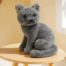 Load image into Gallery viewer, Realistic Russian Blue Cat Plush - Precious Lifelike Kitty-about 20-26cm-grey cat sy-1