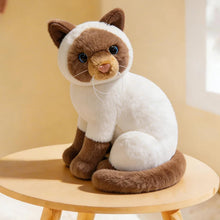 Load image into Gallery viewer, Realistic Siamese Cat Plush - Seal Point coat - Precious Lifelike Kitty-about 20-26cm-siamese cat sy-1