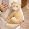 Realistic Orange and White Cat Plush - Precious Sitting Kitty-Stuffed Animals-Cat Memorial Gifts,Cats,Orange and White Cat,Stuffed Animal-2