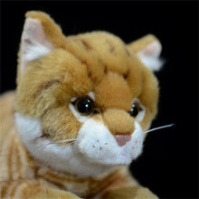 Load image into Gallery viewer, Realistic Orange Tabby Cat Stuffed Animal Plush Toy - Soft Fur Lifelike Detailing-1