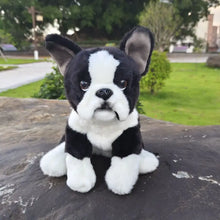 Load image into Gallery viewer, Realistic Lifelike Boston Terrier Stuffed Animal Plush Toy-Dog Memorial Gifts,Stuffed Animal-1