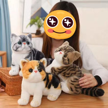 Load image into Gallery viewer, Realistic Calico Cat Plush Toy - Cute Sitting Kitten-Stuffed Animals-Calico Cat,Cat Memorial Gifts,Cats,Stuffed Animal-5
