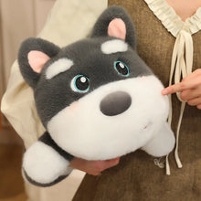 Load image into Gallery viewer, Black and White Cat Plush Toy - Kawaii Big Eyed Baby-Stuffed Animals-Black and White Cat,Cat Memorial Gifts,Cats,Stuffed Animal-15