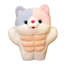 Load image into Gallery viewer, Funny Calico Cat Plush Toy - Muscle Cat with Abs-5