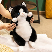 Load image into Gallery viewer, Black and White Cat Plush Toy - Adorable Sitting Design-2