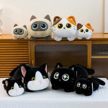 Load image into Gallery viewer, Siamese Cat Plush Toy - Big-Eye Belly Flop Chibi Design