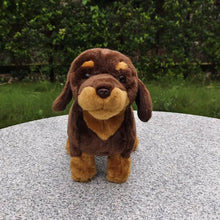 Load image into Gallery viewer, Realistic Lifelike Chocolate and Tan Dachshund Stuffed Animal Plush Toy-2