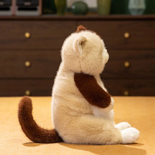 Load image into Gallery viewer, Calico Cat Plush Toy - Adorable Sitting Design-6