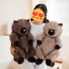 Fat Brown Cat Plush Toy - Super Soft Cuddly Chubby Kitty-Stuffed Animals-Cat Memorial Gifts,Cats,Stuffed Animal-1