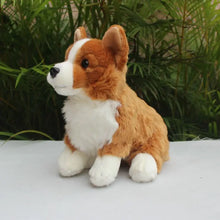 Load image into Gallery viewer, Corgi Stuffed Animal Plush Toys - Realistic Lifelike Soft Sitting Corgis-2