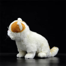 Load image into Gallery viewer, Realistic Red and White Van Exotic Shorthair Cat Plush Toy-Stuffed Animals-Cat Memorial Gifts,Cats,Orange and White Cat,Stuffed Animal-7