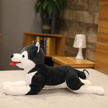 Load image into Gallery viewer, Large Black and White Husky Stuffed Animal Plush Toy-10
