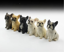 Load image into Gallery viewer, Six small French Bulldog figurines in different colors, including gray, tan, black, cream, and black-and-white, lined up on a white surface against a black gradient background.
