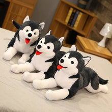 Load image into Gallery viewer, Large Black and White Husky Stuffed Animal Plush Toy-4