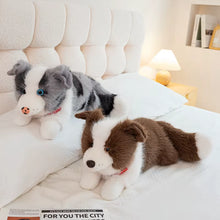 Load image into Gallery viewer, Realistic Border Collie Stuffed Animal Plush Toy - 4 Coat Colors-Stuffed Animals-Border Collie,Dog Memorial Gifts,Stuffed Animal-18