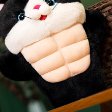 Load image into Gallery viewer, Funny Black and White Cat Plush Toy - Muscle Cat with Abs-3