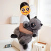 Fat Gray Cat Plush Toy - Super Soft Cuddly Chubby Kitty-Stuffed Animals-Cat Memorial Gifts,Cats,Grey Cat,Stuffed Animal-1
