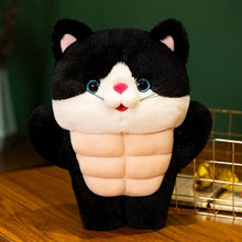 Load image into Gallery viewer, Funny Black and White Cat Plush Toy - Muscle Cat with Abs-black-30cm-1