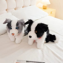 Load image into Gallery viewer, Realistic Border Collie Stuffed Animal Plush Toy - 4 Coat Colors-Stuffed Animals-Border Collie,Dog Memorial Gifts,Stuffed Animal-17