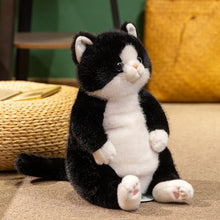 Load image into Gallery viewer, Black and White Cat Plush Toy - Adorable Sitting Design-black-45cm-1