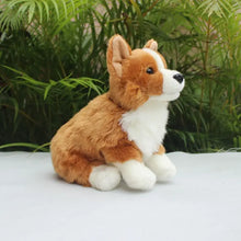 Load image into Gallery viewer, Corgi Stuffed Animal Plush Toys - Realistic Lifelike Soft Sitting Corgis-1