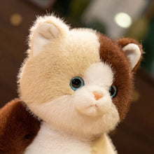 Load image into Gallery viewer, Calico Cat Plush Toy - Adorable Sitting Design-2