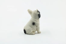 Load image into Gallery viewer, French Bulldog Figurines - Realistic Sitting Frenchies - 6 Coat Colors