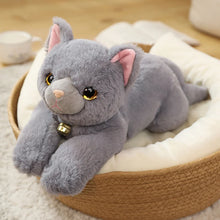 Load image into Gallery viewer, Lifelike Russian Blue Cat Plush Toy - Sweet Jingle Bell Kitty-17