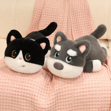 Load image into Gallery viewer, Black and White Cat Plush Toy - Kawaii Big Eyed Baby-Stuffed Animals-Black and White Cat,Cat Memorial Gifts,Cats,Stuffed Animal-3