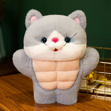 Load image into Gallery viewer, Funny Grey and White Cat Plush Toy - Muscle Cat with Abs-Stuffed Animals-Cat Memorial Gifts,Grey and White Cat,Stuffed Animal-6