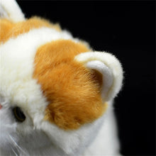Load image into Gallery viewer, Realistic Red and White Van Exotic Shorthair Cat Plush Toy-Stuffed Animals-Cat Memorial Gifts,Cats,Orange and White Cat,Stuffed Animal-3