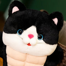 Load image into Gallery viewer, Funny Black and White Cat Plush Toy - Muscle Cat with Abs-4