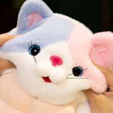 Load image into Gallery viewer, Funny Calico Cat Plush Toy - Muscle Cat with Abs-3