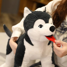 Load image into Gallery viewer, Large Black and White Husky Stuffed Animal Plush Toy-7