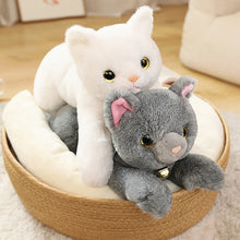 Load image into Gallery viewer, Lifelike Blue British Shorthair Cat Plush Toy - Sweet Jingle Bell Kitty-4