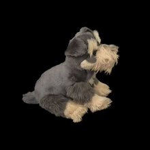 Load image into Gallery viewer, Realistic Liver and Tan Schnauzer Stuffed Animal Plush Toy-Dog Memorial Gifts,Stuffed Animal-4